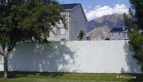 PrivacyLink® Chain Link Fence (Galvanized Chain Link Fence) - Image 5
