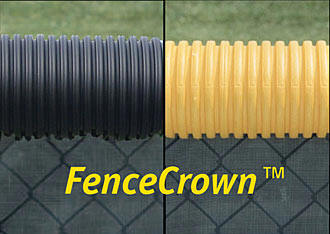 Black and bright Yellow Fence Crown.