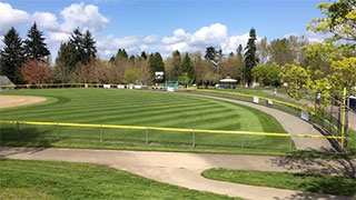 Safety Top Cap Lite is a good choice for Baseball Fields.